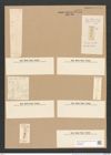 Stauroneis gracilis W.Sm. (de-Toni-Nr.: Genus 6, Species 879) Zeichnungen Sammlung Grunow Nr. 1738 (NHMW-BOT-W0368620)